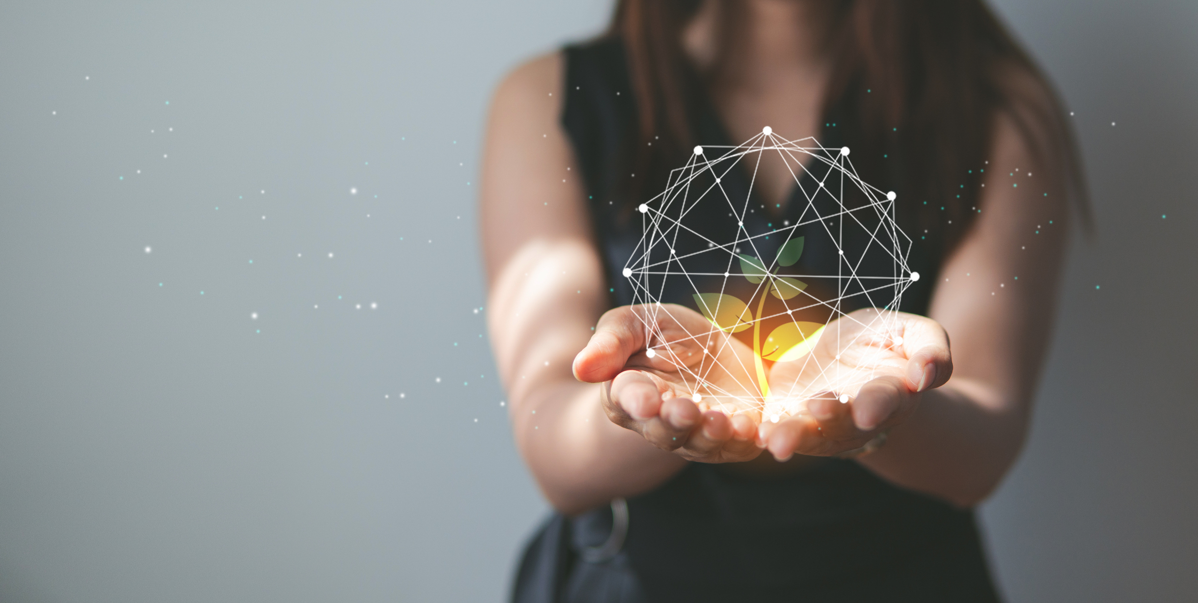 Cost Reduction: The Data Handling Edition 